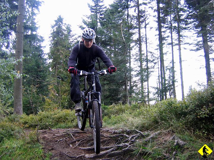foto 041.jpg - i odbić w lewo na Przełęcz Przegibek, do której czekał ponownie zjazd :) Na zjazdach przynajniej mogłem sprawdzić działanie Full'a, bo na podjazdach jechało się bardzo ciężko i wolałem opcje "Lock"